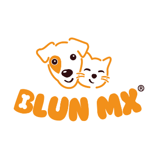 Logo de Blun Mx